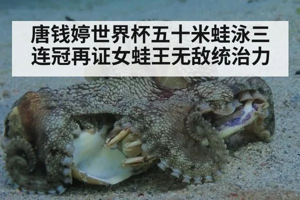唐钱婷世界杯五十米蛙泳三连冠再证女蛙王无敌统治力